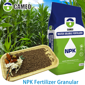 <span class=keywords><strong>Engrais</strong></span> NPK haute efficacité agricole soluble dans l'eau sacs de 20kg - Product Image 6