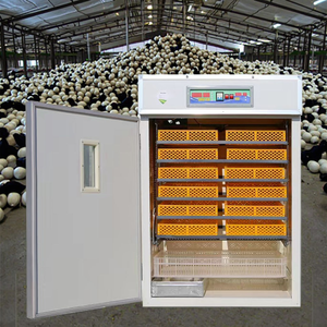 Incubateur en plastique entièrement automatisé pour 4000 œufs (oies, reptiles, poulets, autruches, dindes) - Taux d'éclosion de 98% - Petite taille - Vente directe - Product Image 1
