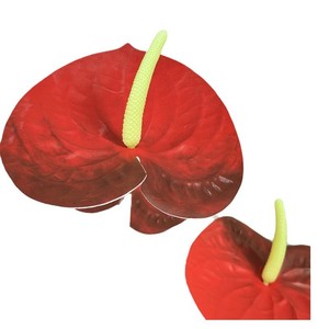 Usine de fleurs artificielles Meiyu Craft, Anthurium rouge simulé, fleurs artificielles en soie, impression 3D, décoration de la maison, accessoires de mariage - Product Image 5