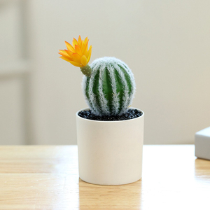 Mini <span class=keywords><strong>Cactus</strong></span> Bonsai <span class=keywords><strong>de</strong></span> alta calidad, planta en maceta Artificial verde para decoración <span class=keywords><strong>de</strong></span> oficina, flores y plantas decorativas - Product Image 6
