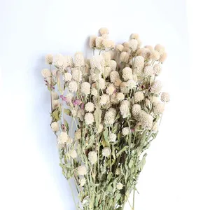 Vente en gros d'usine de fleurs séchées d'amarante rose et blanche, bouquet de fleurs séchées pour la décoration de la maison, bouquet de fleurs séchées DIY - Product Image 6