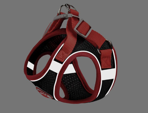 Luxury Style Reflective Breathable Sport Padded Dog <strong>Harness</strong> &amp; Lease Set Fashionable Polyester Pet Vest - Product Image 3