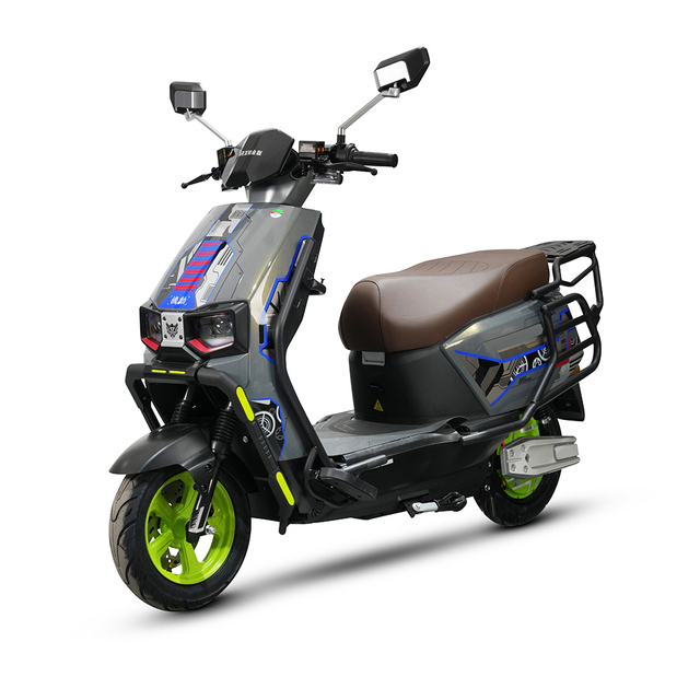 60V Two Wheels 1200W 2000W Rear Hub Motor Electric Motorbike High Speed 60km/h Factory Direct Price Adult Electric Motorcycle