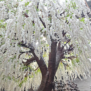 Árbol de Glicinia Artificial Grande, Árbol de Mimbre Llorón de Seda, Árbol en Flor para Decoración de Bodas, Decoración Interior y Exterior - Product Image 5