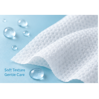 Lingettes humides pour bébé à l'eau pure, 80 unités, sous marque privée, paquet souple avec couvercle à clapet, OEM ODM