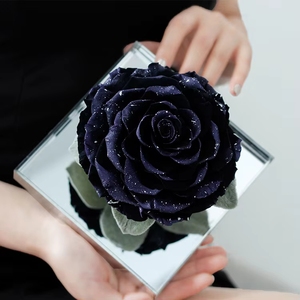 <span class=keywords><strong>Rosa</strong></span> Eterna 2025, Regalo per Fidanzata, Madre, Migliore Amica, Compleanno, San Valentino, Rose di Alta Qualità - Product Image 5