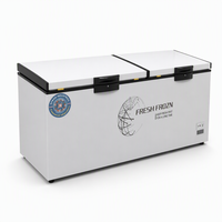Congélateur coffre compact commercial à température unique, écoénergétique, avec étagères réglables et écran LED – Offre Spéciale