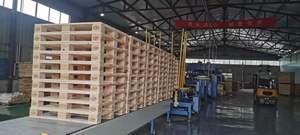 Dây Chuyền Sản Xuất Pallet Gỗ Tự Động SF1000-3 - Product Image 5