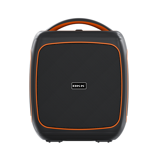 BKK Manufacture 50W Portable Party Speaker Super Bass Subwoofer Karaoke Speaker