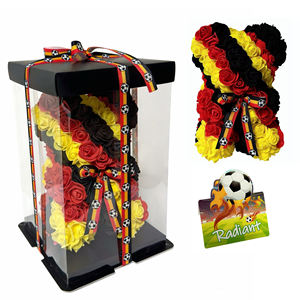 Oso de Peluche Premium con Rosas Artificiales de la Selección Nacional de Alemania para la Copa Mundial, con Cinta de Fútbol, Souvenir - Product Image 1
