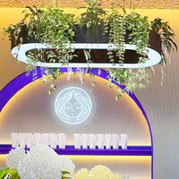 Lustre LED circulaire ovale vert pour plantes, luminaire décoratif pour salon, chambre, salle à manger, bureau à domicile