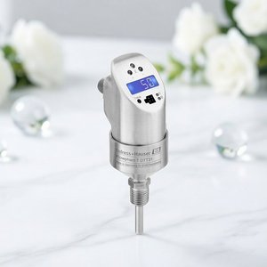 Interruptor de Flujo Endress Hauser/E+H DTT31, Conector de Enchufe M20, Pantalla Digital 0-3m/s - Product Image 4