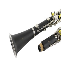 Bb Clarinet 17-Keys ABS Material Professional Performance Black Clarinet Durable Sturdy Woodwind Instrument for Musicians