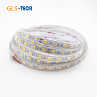 Bande LED SMD5050 6000K Blanc Froid - Ruban Lumineux Flexible Étanche IP67, 12V/24V 60 LED/m pour Décoration Intérieure/Extérieure