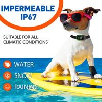 Amz Dog Anti Barking Collar Wiederauf ladbar Wasserdicht IP67 No Bark Collar Piepen Vibration Shock Collar Hunde rinde Abschreckung gerät