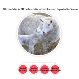 Lubrificante Protettivo per Inseminazione Artificiale Veterinaria per Suini, Bovini, Ovini, Gel Lubrificante Antibatterico per l'Utero del Bestiame - Product Image 6