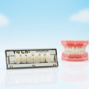 ZUNCHI - Dientes de Resina Acrílica de Buena Calidad y Bajo <span class=keywords><strong>Precio</strong></span> para Dientes Superiores Frontales, 2 Capas, 6*1 - Product Image 1