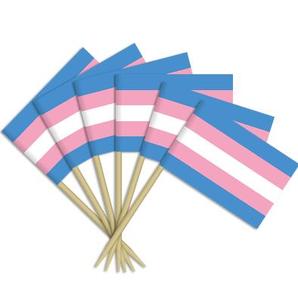 Bandera <span class=keywords><strong>Gadsden</strong></span> Personalizada de Poliéster con Diseño de Orgullo LGBT y Derechos Transgénero, Impresión Digital, Dos Ojales, Asta de Fibra de Vidrio, 3x5 pies - Product Image 5