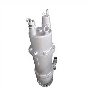 Bomba Sumergible Vertical a Prueba de Explosiones para Aguas Residuales, 380V-660V, 100-600 M/h de Flujo, 1 Año de Garantía - Product Image 1