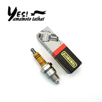 2kw EY15/EY20/EY28 bougie d'allumage pièces de rechange de moteur à essence IYOKOI