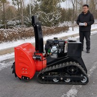 Équipement de déneigement pour entrepreneurs, souffleuse à neige télécommandée, emballage en caisse en bois, service OEM ODM, garantie de 12 mois, 60 cm