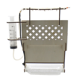 Kit de cultivo de plantas para niños, experimento científico, juguete educativo, modelo DIY, ensamblaje manual de plástico, herramienta de aprendizaje STEM, edad 4-6 años - Product Image 1