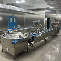 Skywin hogesnelheidsautomatische wikkel-, lijm-, etiketteer-, vul- en verpakkingsmachine voor film-, kussen-, en biscuitverpakkingen in plastic zakjes