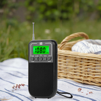 Anpassbare W-203 Radio/Ein-Klick-Schalter Verdoppeln Sie die Aufregung/AM/FM/SW-Radios sind heiß verkauft.