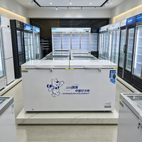 Congélateur horizontal commercial grande capacité, double porte pleine, avec serrure, pour aliments surgelés, supermarché, vente au détail