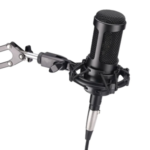 AT2035-Microphone à condensateur cardioïde XLR, enregistrement avancé, USB, karaoké, projet de diffusion en direct, Home Studio - Product Image 1