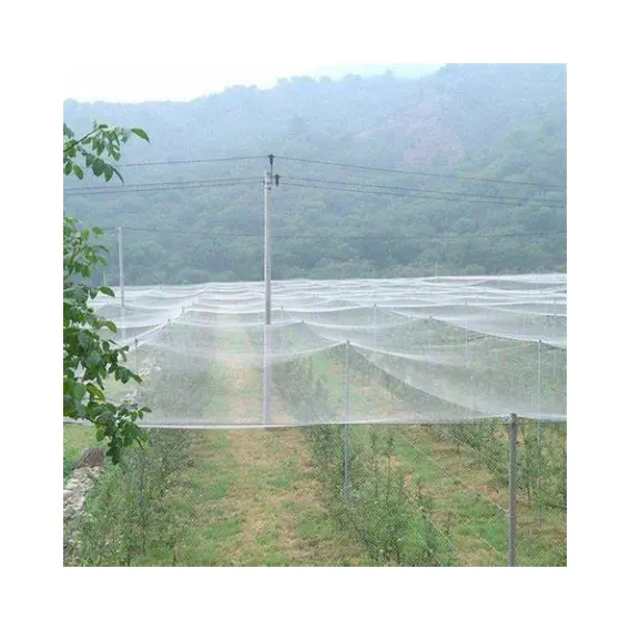 hdpe plastic anti hail net black hail net for Agricultural