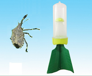 Trampa de plástico para abanicos, atrapa insectos, mata Halyomorpha Halys, trampas para chinches, insecticida, ¡gran oferta directamente de fábrica! - Product Image 2