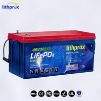 Batterie Lithprox rechargeable LiFePO4 48V 300AH 15KW Grade 6000 à décharge profonde marine avec BMS intelligent RS485, borne M8, CE RoHS IP67, basse température
