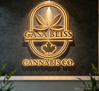 Enseigne de magasin commerciale en lettres 3D avec source de lumière LED, enseigne extérieure pour publicité de logo d'entreprise, enseigne extérieure rétroéclairée par LED