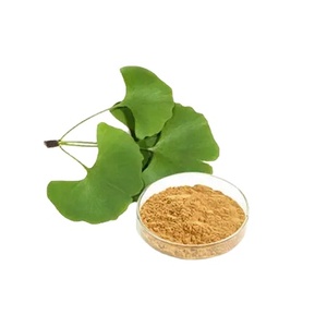 Extrait de feuille de <span class=keywords><strong>Ginkgo</strong></span> <span class=keywords><strong>Biloba</strong></span> naturel en poudre 24% 6% PPM <span class=keywords><strong>Ginkgo</strong></span> <span class=keywords><strong>Biloba</strong></span> L.extract Lactone - Product Image 2