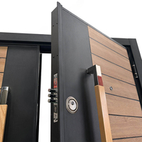 Porte de sécurité en acier de haute qualité, abordable, moderne, en acier inoxydable, surface premium, durable, autres portes pour maisons