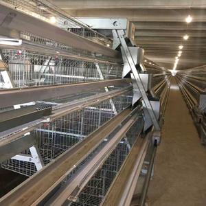 Gabbia per Polli a Strati Tipo A XINYE in Acciaio Zincato con Sistema Automatico di Alimentazione e Raccolta <span class=keywords><strong>Uova</strong></span> per Allevamento Avicolo - Product Image 1