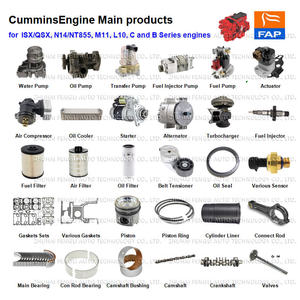 Cung cấp các loại phụ tùng sửa chữa động cơ và bộ dụng cụ đại tu cho xe Freightliner, International, Kenworth, v.v. với động cơ Detroit S60 và Cummins. - Product Image 2