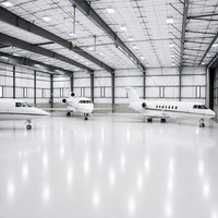 Hangar d'avion en structure métallique pour les installations de stockage d'avions et les projets aéronautiques préfabriqués