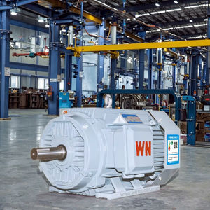 Wannan มอเตอร์ YE5ไฟฟ้าสามเฟสแบบอะซิงโครนัสรุ่นอุตสาหกรรมขายดีที่สุด | ขดลวดทองแดงเต็มรูปแบบ | ปรับแต่งได้เต็มช่วง - Product Image 1