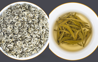 Jasmin duftender Biluochun Grüntee Blätter Chinesische Jasmin Blume Bi Luo Chun Lose blatt Schnecke Grüner Tee Jasmin Perle Grüner Tee