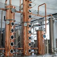 Colonne de distillation de spiritueux neutres/vodka haute performance de 2000 L, conception écoénergétique réduisant les coûts, pour la production à grande échelle