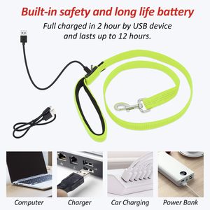 New Release USB Rechargeable LED <b>Dog</b> Leash Night Glow Dark <b>Light</b>-Up Feature 10 Hours Runtime Eco-Friendly Nylon Material Fashion - Product Image 2