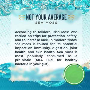 Private Label Irish <strong>Sea</strong> <strong>Moss</strong> Capsules for Throid Immune Support&amp;Heart Health 60 Capsules with Bladderwrack Burdock Root - Product Image 5