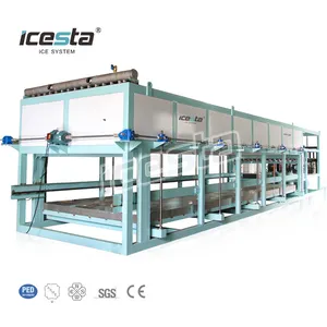 Customized ICESTA 20t 25t 30t 40t industrial Ice block making machine