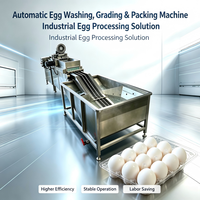 Industriële SUS304 automatische eierwasmachine met reiniging, sortering, verpakking, droging en sterilisatie