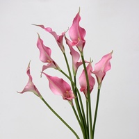 C011 nouvelle fleur artificielle Simple Calla Lily vraie touche latex fleur branche unique mariage décoration de la maison