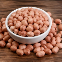 Arachides brutes en gros, noyaux d'arachides naturels, fournisseur en vrac pour la transformation alimentaire, fournisseur OEM en gros de Chine