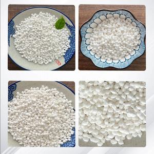 Haorui Sheng Fertilizzante Azotato Granulare a Rilascio Rapido di Grado Agricolo, Solfato di Ammonio 2-5mm, Agrochimico Professionale - Product Image 4