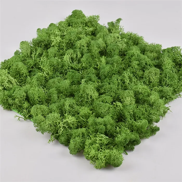 QSHLHP-945 Groothandel 1M * 1M bewaard moss panel moss gestabiliseerd voor wanddecoratie